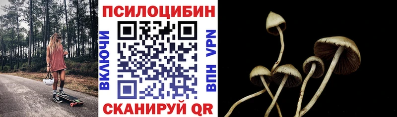 дарнет шоп Зарайск Псилоцибиновые грибы Magic Shrooms